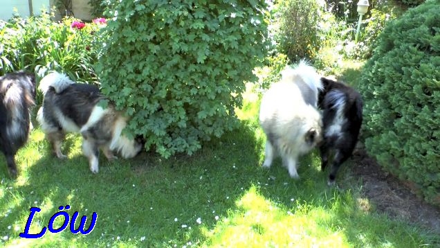 18.5.2022 -  Rund um den Baum